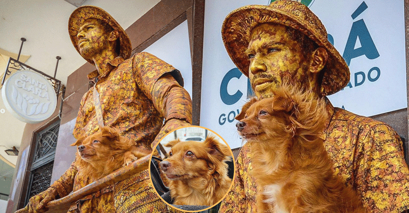 Una perrita y su dueño conquistan corazones con su arte callejero