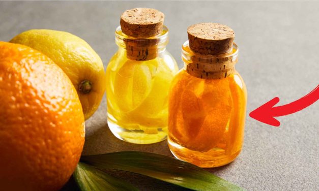 ¿Por qué deberías poner cáscaras de naranja en una botella?